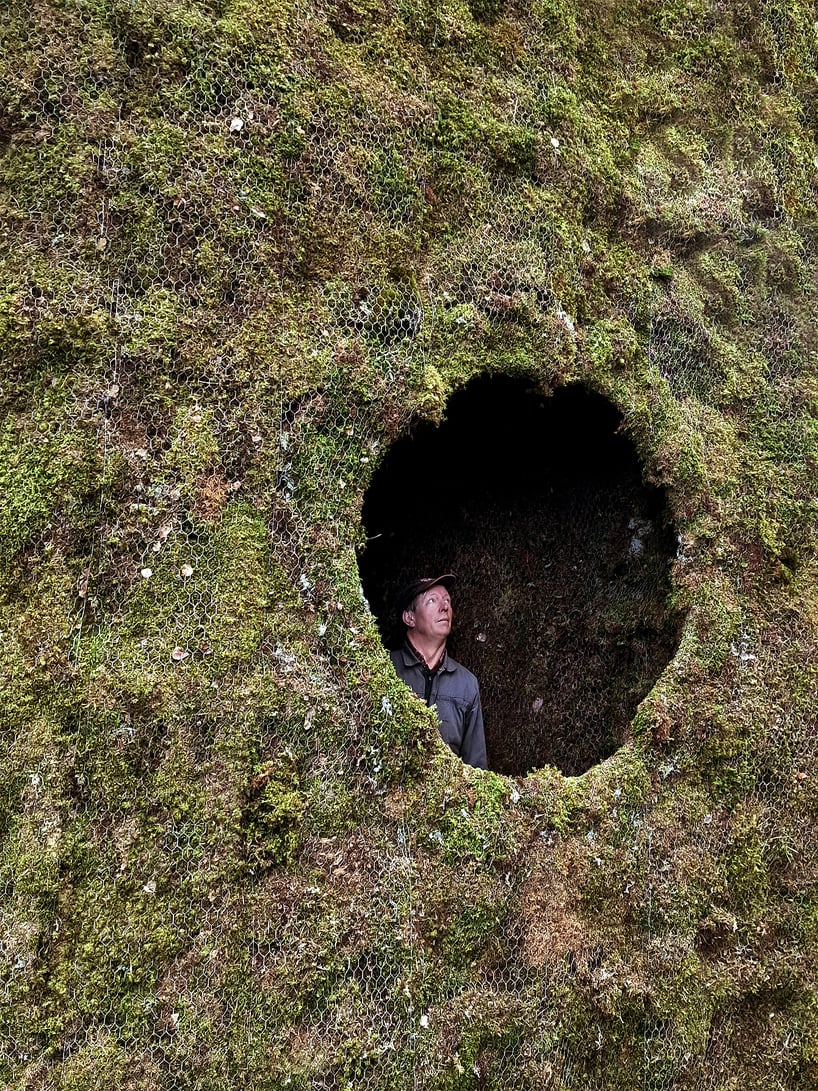 Addressing Ecological Impact: How Moss Hut Aims to Protect Grödinge's Forest Floor