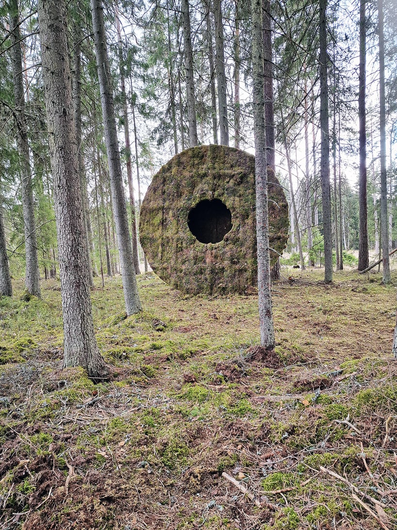 Addressing Ecological Impact: How Moss Hut Aims to Protect Grödinge's Forest Floor