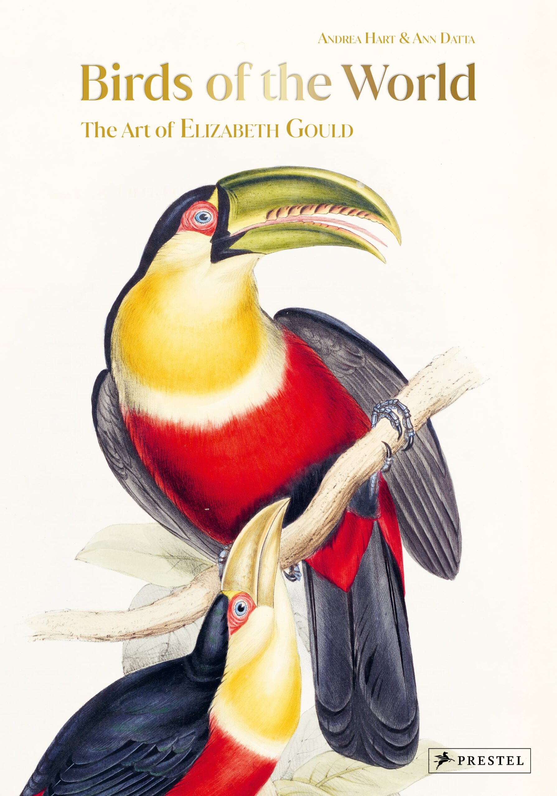 Unlocking the Art of Bird Illustration: Elizabeth Gould's Groundbreaking Work
