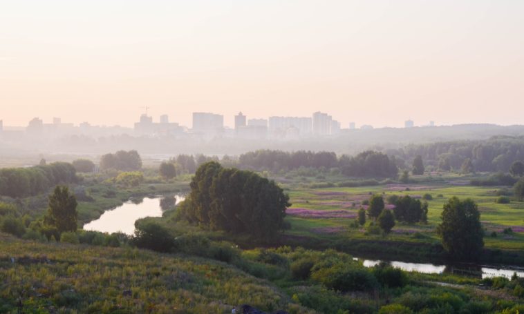 a view of the city from the top of a lush green hillside