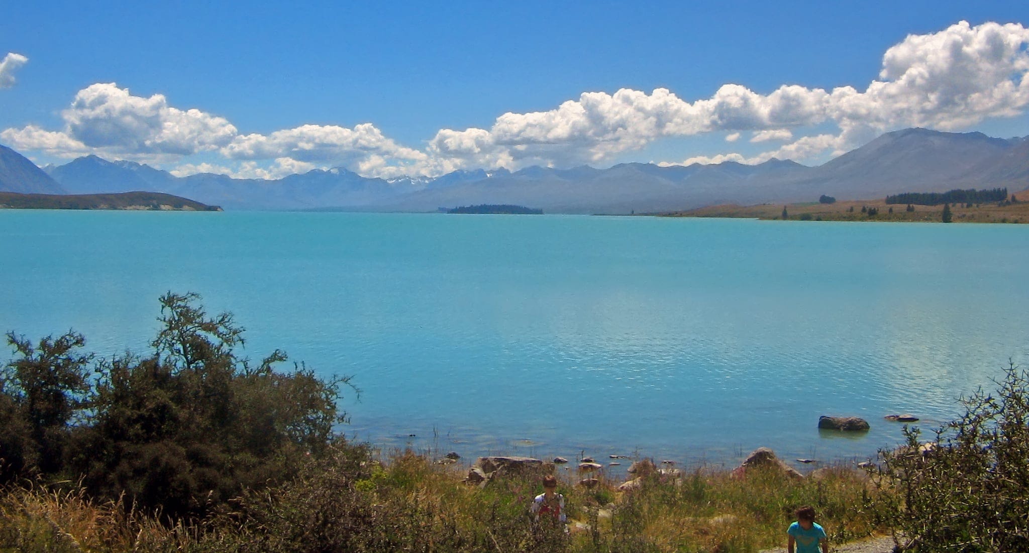 Lake Tekapo and Mount Cook 2017011210 587759d8c249a