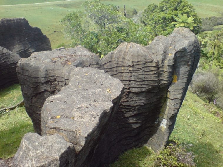 Limestone Formation In Waitomo 2017070710 595f6045c6f52