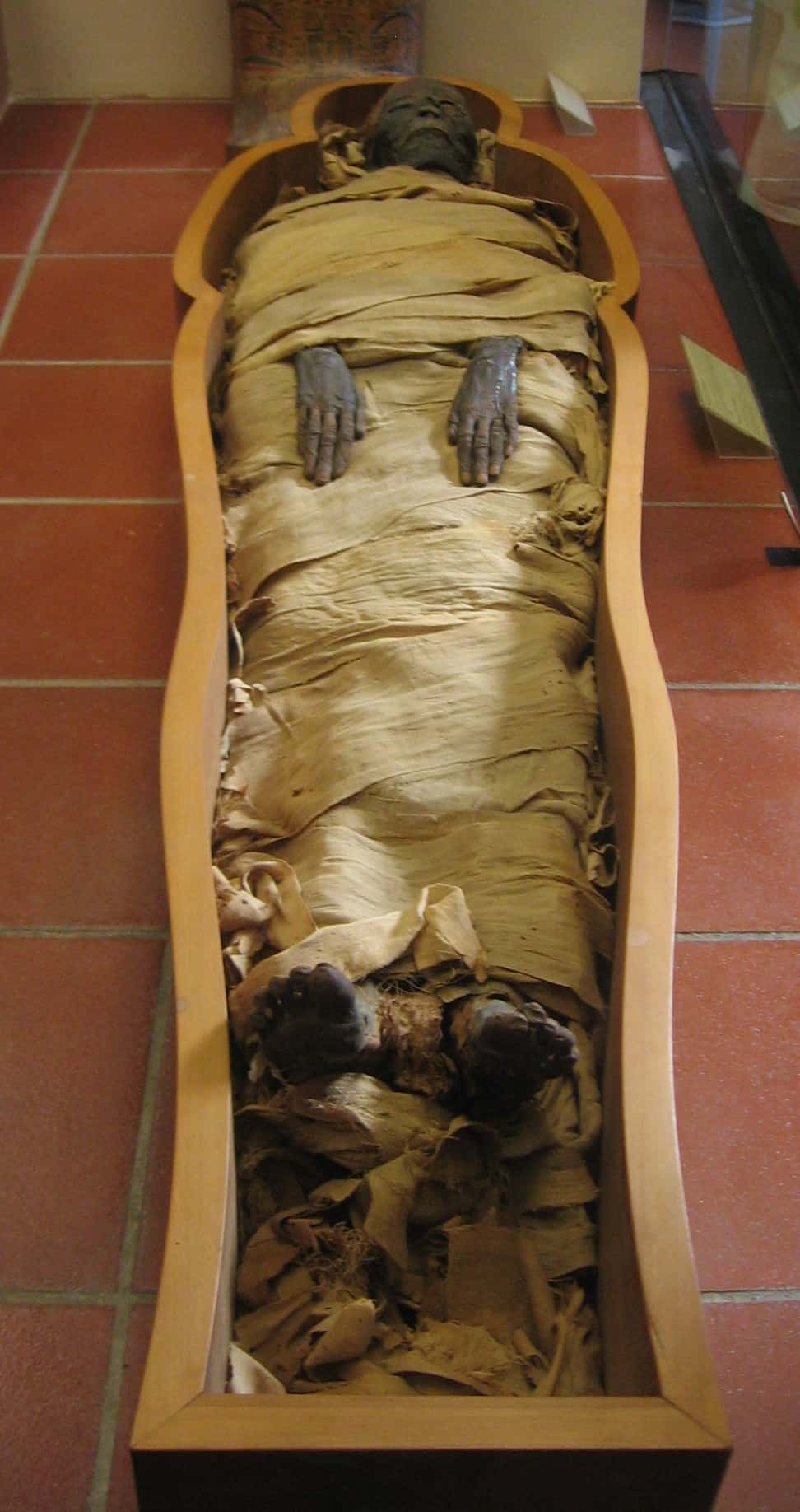 Mummy in Vatican Museums 2018031113 5aa52acb18e58
