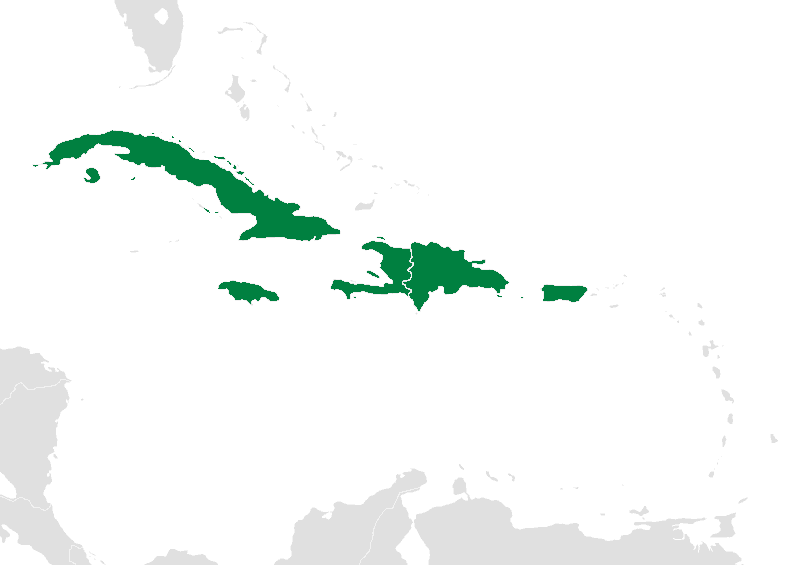 Map of the Caribbean Greater Antilles