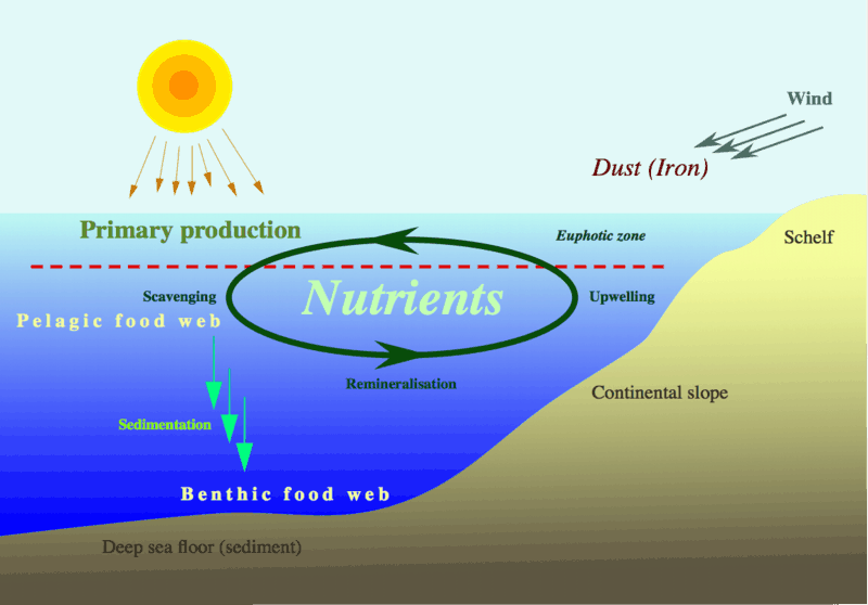 Nutrient cycle hg
