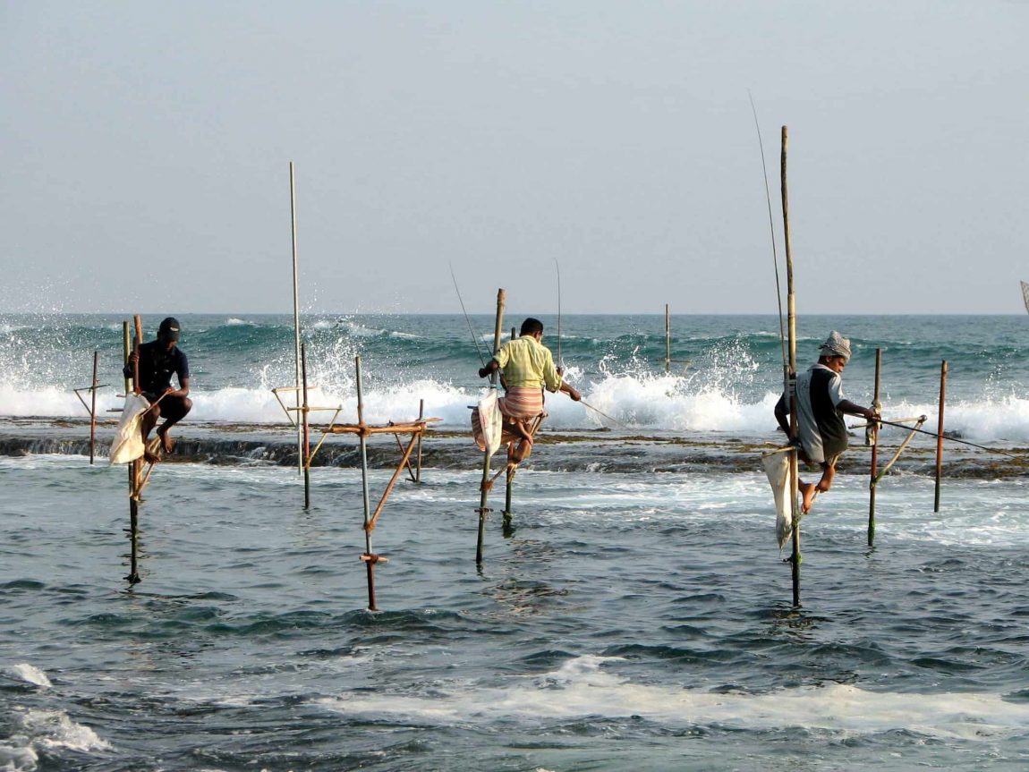 Stilts fishermen Sri Lanka 02