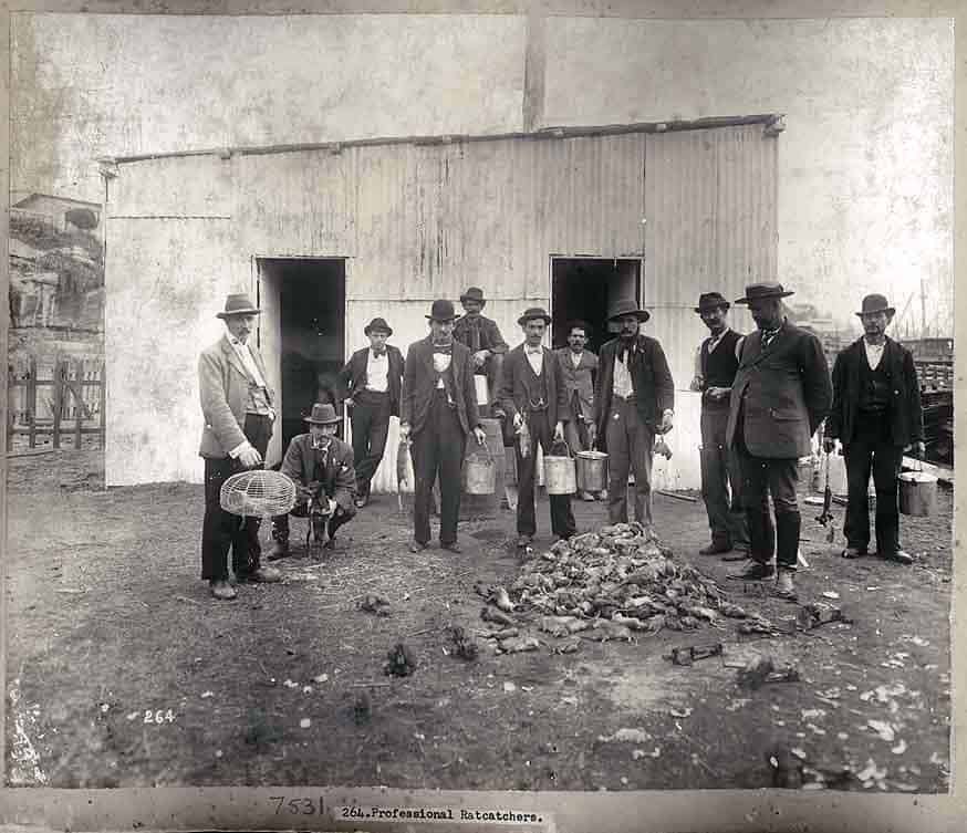 The rat catchers, 1900