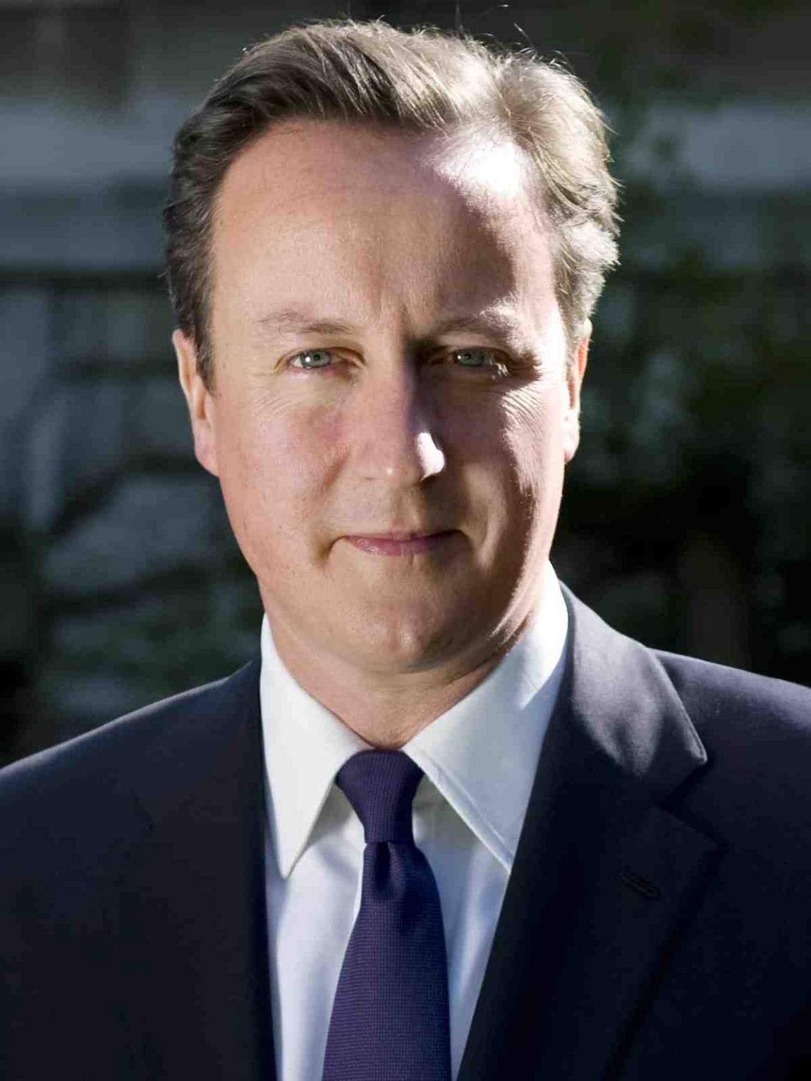 David Cameron official