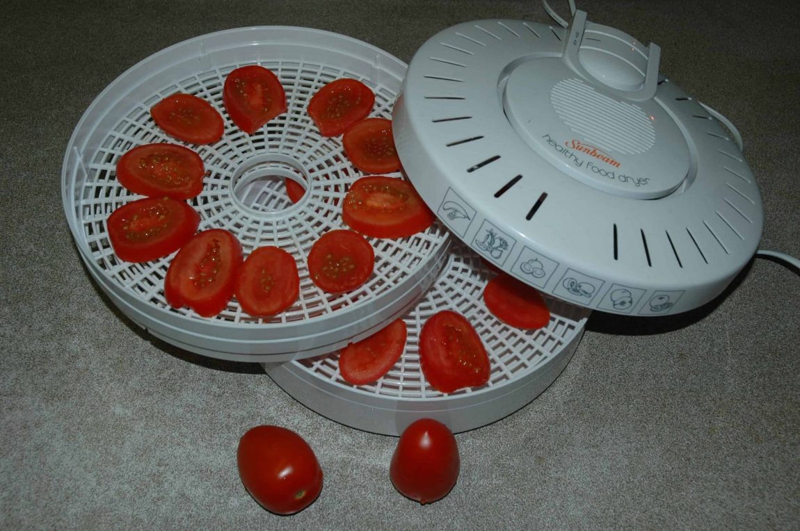 Tomato in food dehydrator scaled