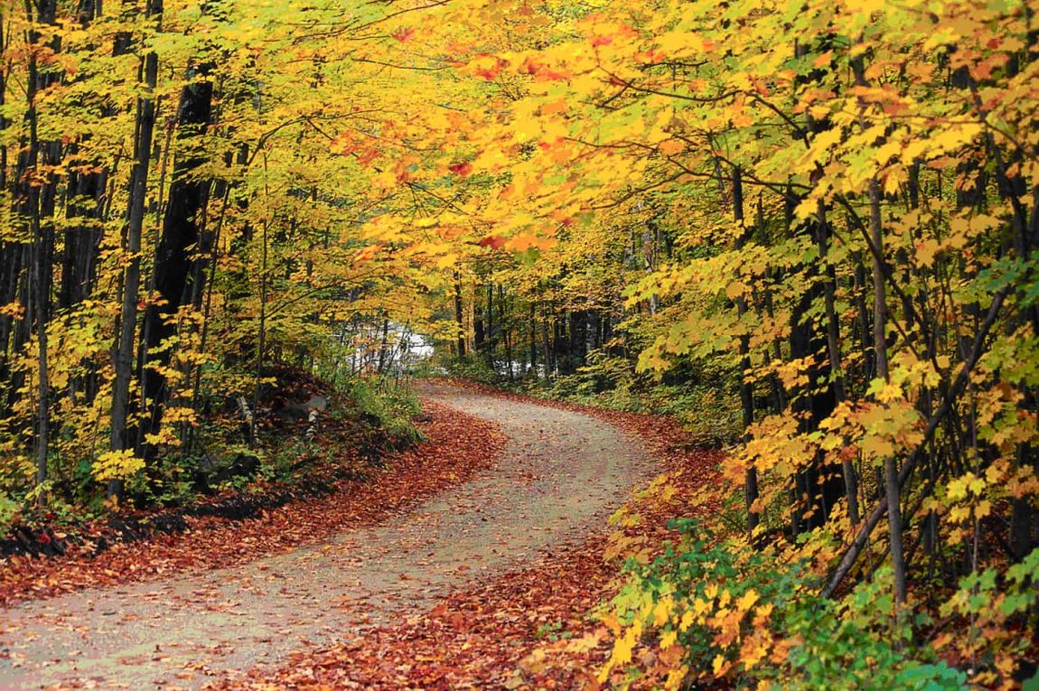 Autumn